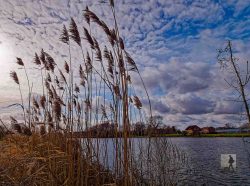 NSG Die Reit, Hamburg