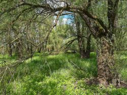 UNESCO Biosphaerenreservat Flusslandschaft Elbe bei Cumlosen, Niedersachsen.
