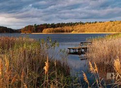 Schaal-See bei Gross Zecher, UNESCO Biosphärenreservat Schaalsee.