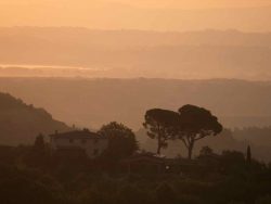 Toskanische Landschaft bei Montepulciano
im Frühnebel