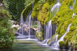 Oasi Cascate Capelli Di Venere, auch Fontana Capello, im Nationalpark Cilento, Vallo di Ciano e Alburti. Kampanien, Italien