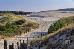 Zugang zur Lontzkedüne, Wydma Lacka, Wanderdüne an der polnischen Ostseeküste, im Slowinzischen Nationalpark. Leba, Pommern, Polen